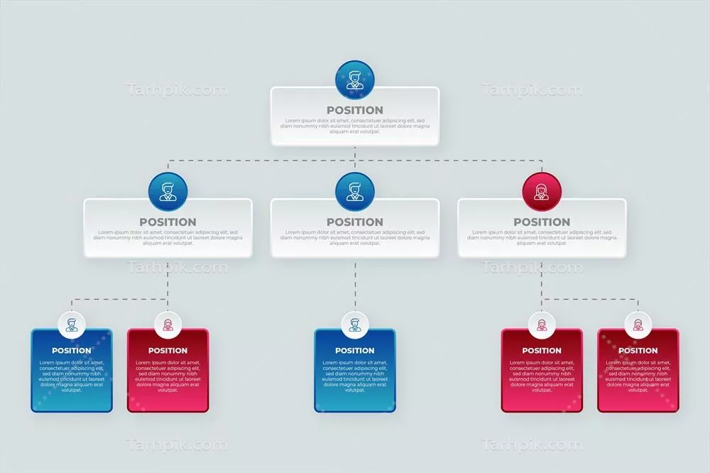 وکتور اینفографیک نمودار سازمانی گرادیان: بصری زیبا و حرفهای برای سازماندهی
