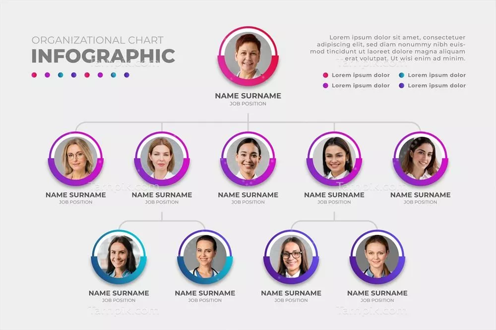 اینفографیک نمودار سازمانی گرادیان با دو وکتور