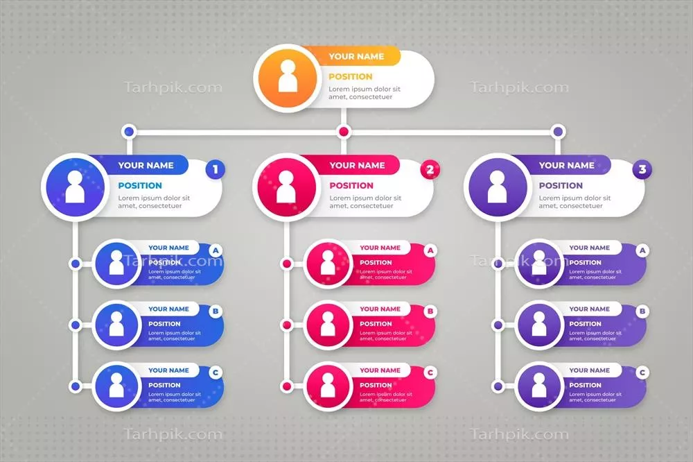 اینفوگرافیک چارت سازمانی گرادیانت با طراحی وکتور منحصربهفرد