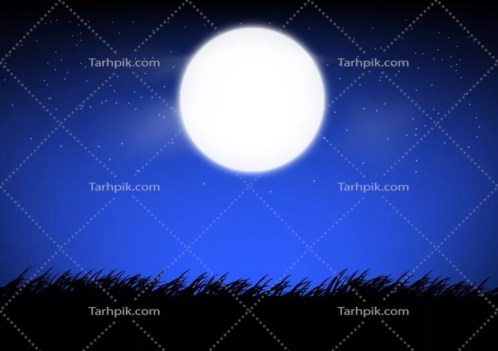 وکتور طراحی گرافیک: ماه و ستاره های آسمان با چمن در فضای باز