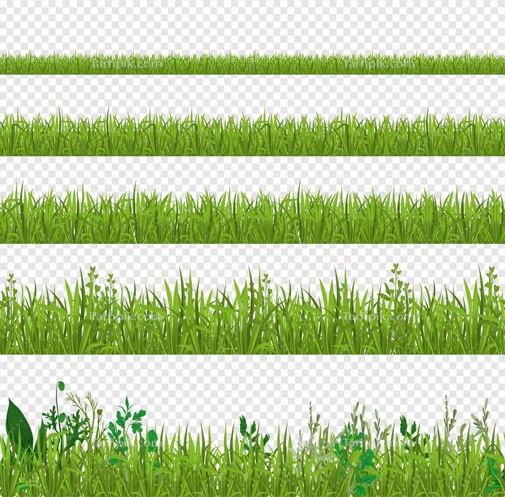 کتابخانه وکتور چمن برای طراحی های گرافیکی و دیجیتال