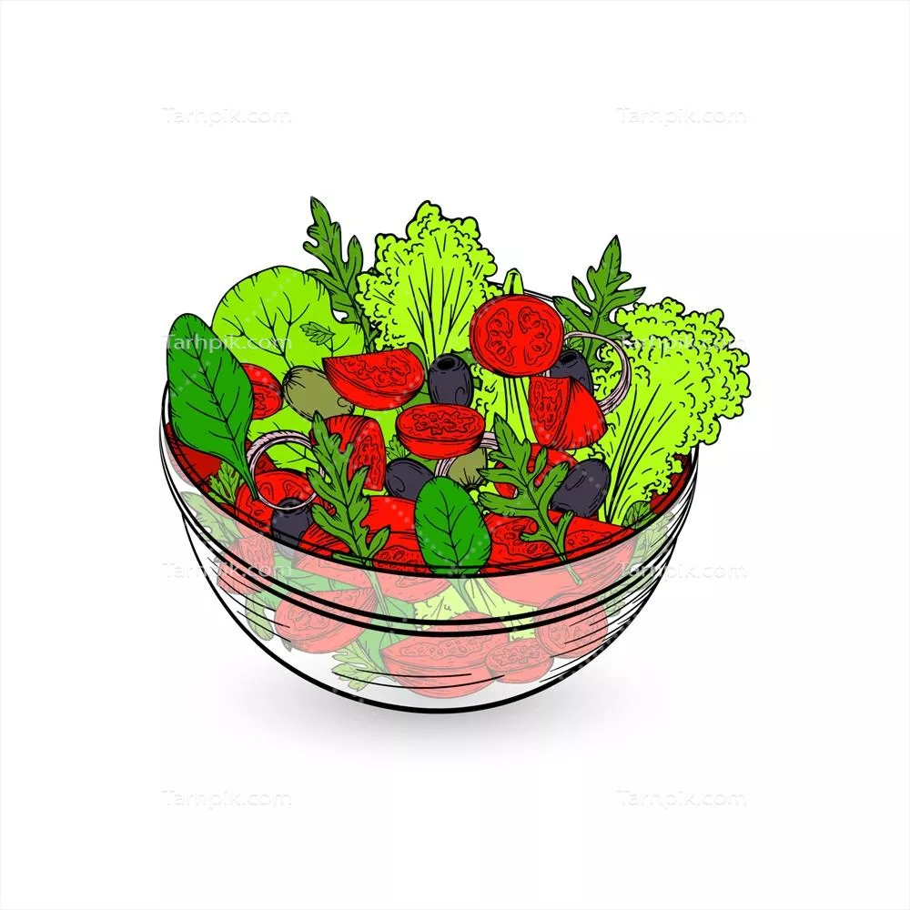 تصویر اسکیس سالاد یونانی با گوجه فرنگی در کاسه - طراحی وکتور