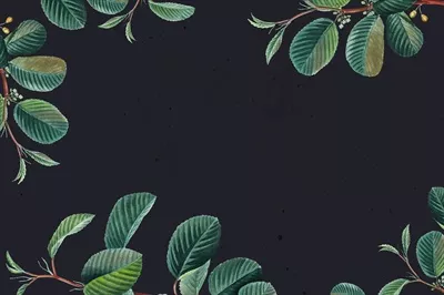 فریم سبز برگ با سبک وینتیج و طراحی وکتور زیبا