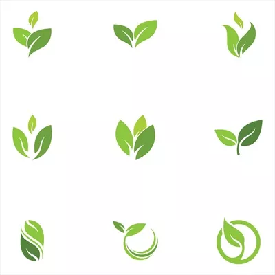 الگوی آیکون لوگوی برگ سبز - قالب وکتور حرفه‌ای