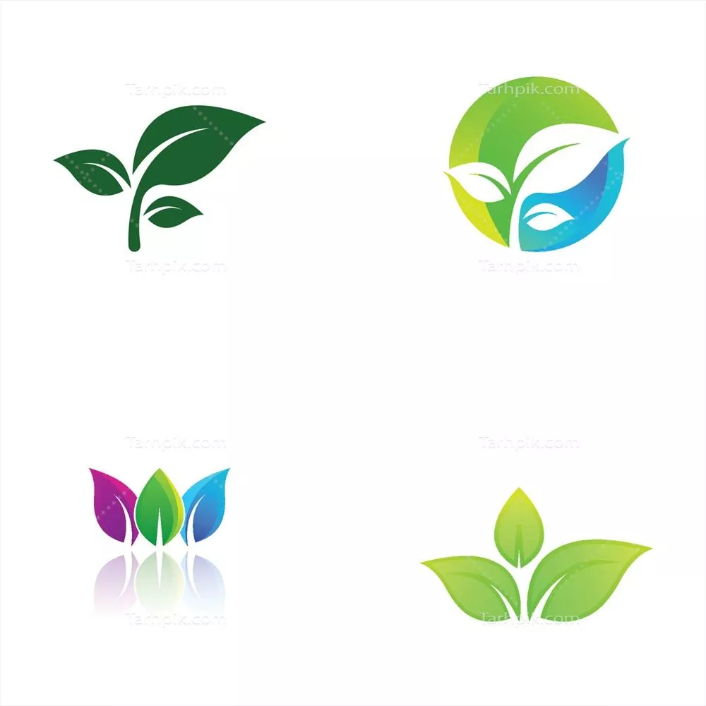 طراحی وکتور لوگوی برگ سبز برای باغها، گیاهان و طبیعت