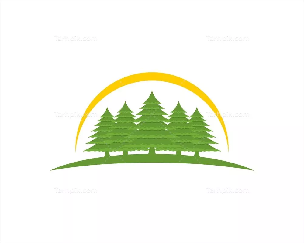 وکتور جنگل کاج سبز با تابش خورشید در بالای آن