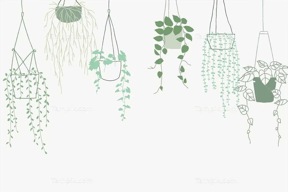 بکگراند وکتور از گیاهان آویز سبز در گلدان های زیبا