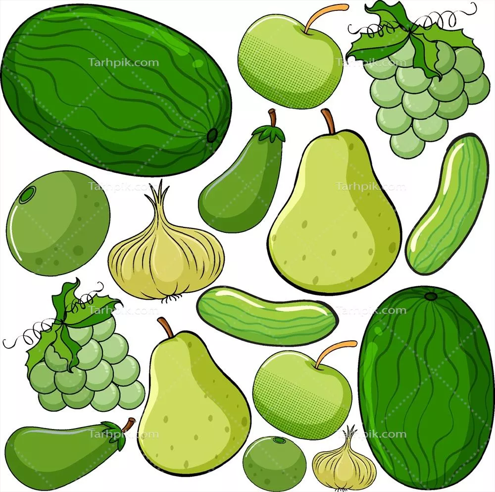 وکتور سبزیجات و میوههای سبز: فواید و طرز تهیه مغذیترین آنها