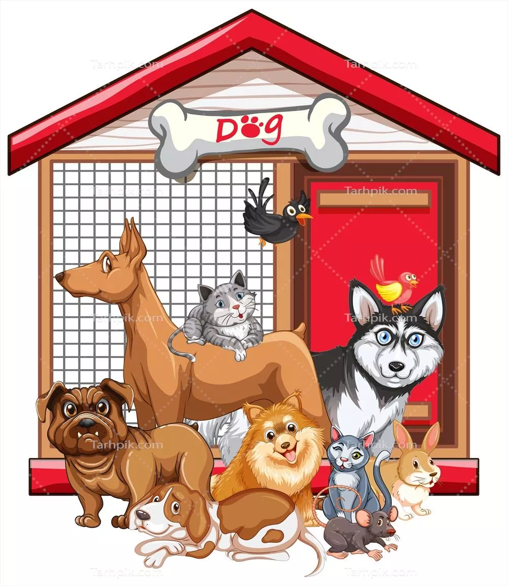 وکتور تصویری از گروهی از حیوانات خانگی بر روی پسزمینه سفید