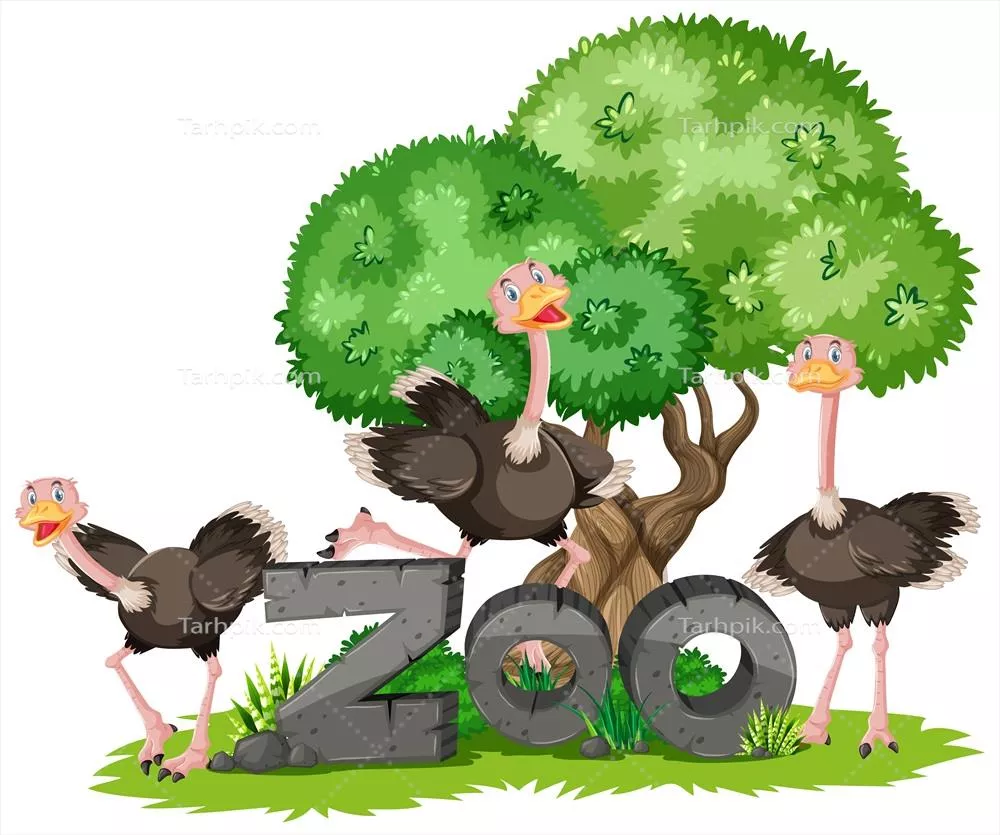 طراحى وکتور بنر گروه شترمرغ در باغ وحش با جزئیات زیبا