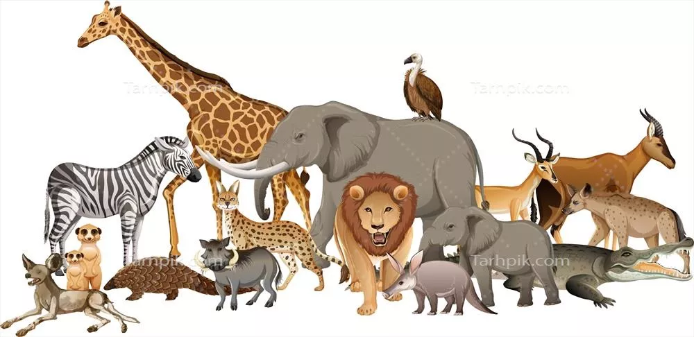 گروهی از حیوانات وحشی آفریقایی با طراحی وکتور سفید