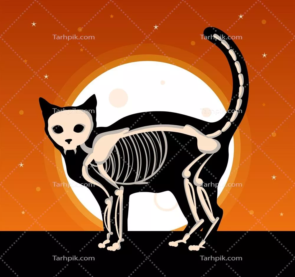 پس‌زمینه هالووین با اسکلت گربه - طراحی وکتور