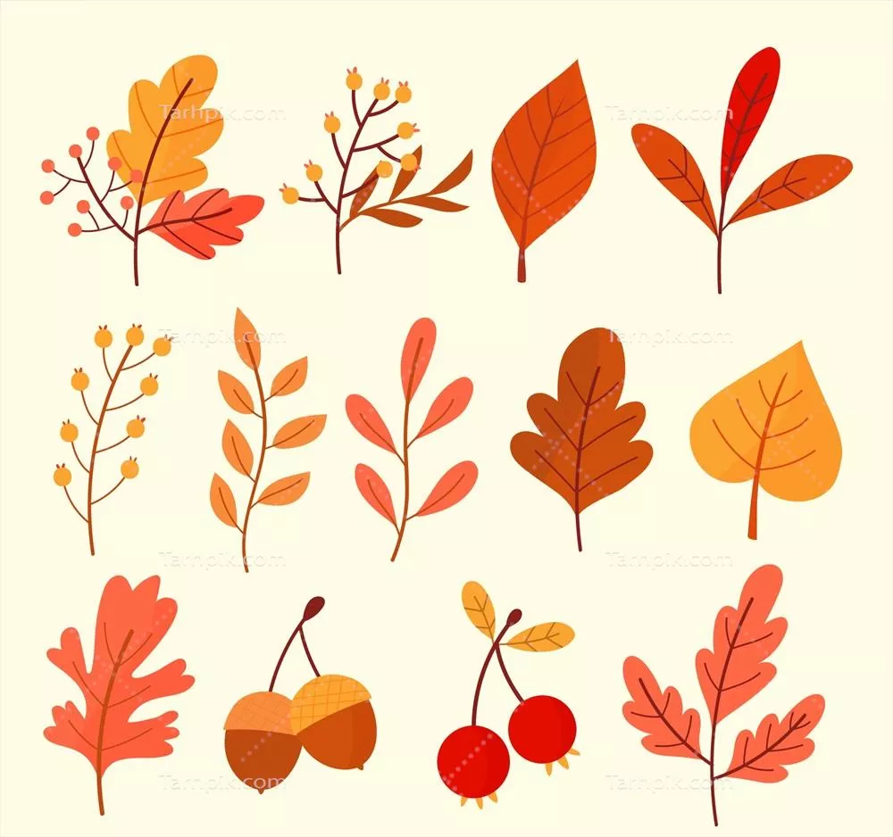 مجموعه وکتور برگ‌های پاییزی دست‌کشیده شده با طراحی منحصر به فرد