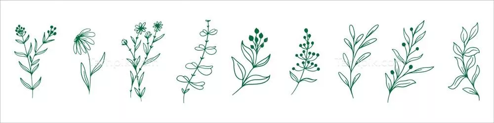 طرح وکتور برگ های گیاهان با طراحی دستی در فرمت EPS 10