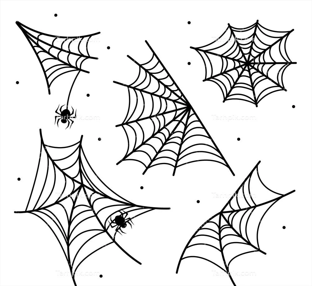 کلکسیون وکتور شبکه های تار عنکبوت طراحی شده به صورت دستی