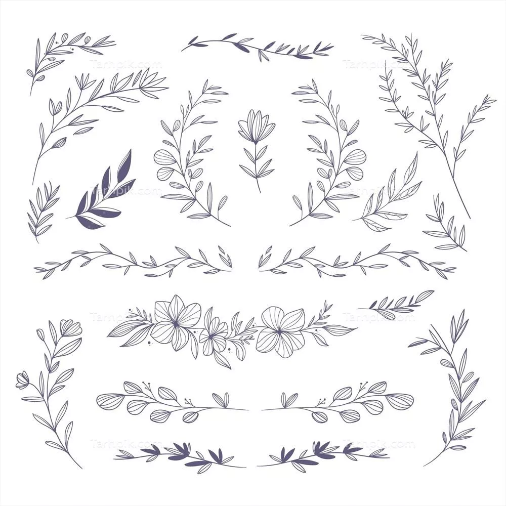 پکیج المانهای گلدار دستکشیده و وکتور برای طراحیهای هنری