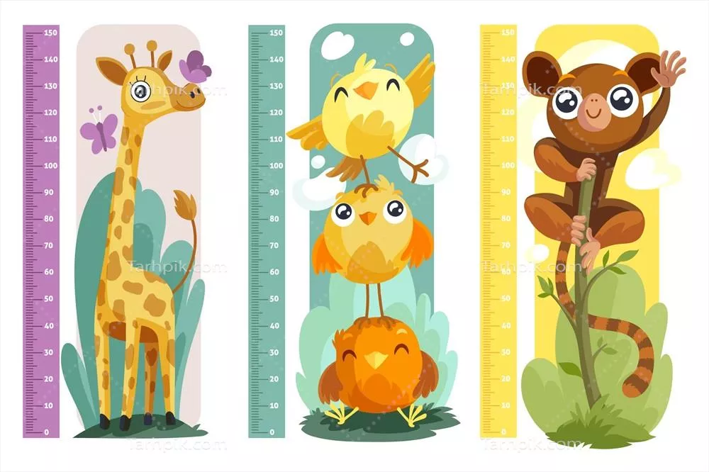 پکیج طراحی دستی نشانگر قد و اندازهگیری با کیفیت وکتور