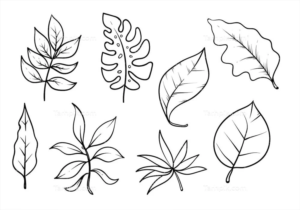 مجموعه وکتور هوجاهای طراحی دستی با کیفیت خطی و هنری