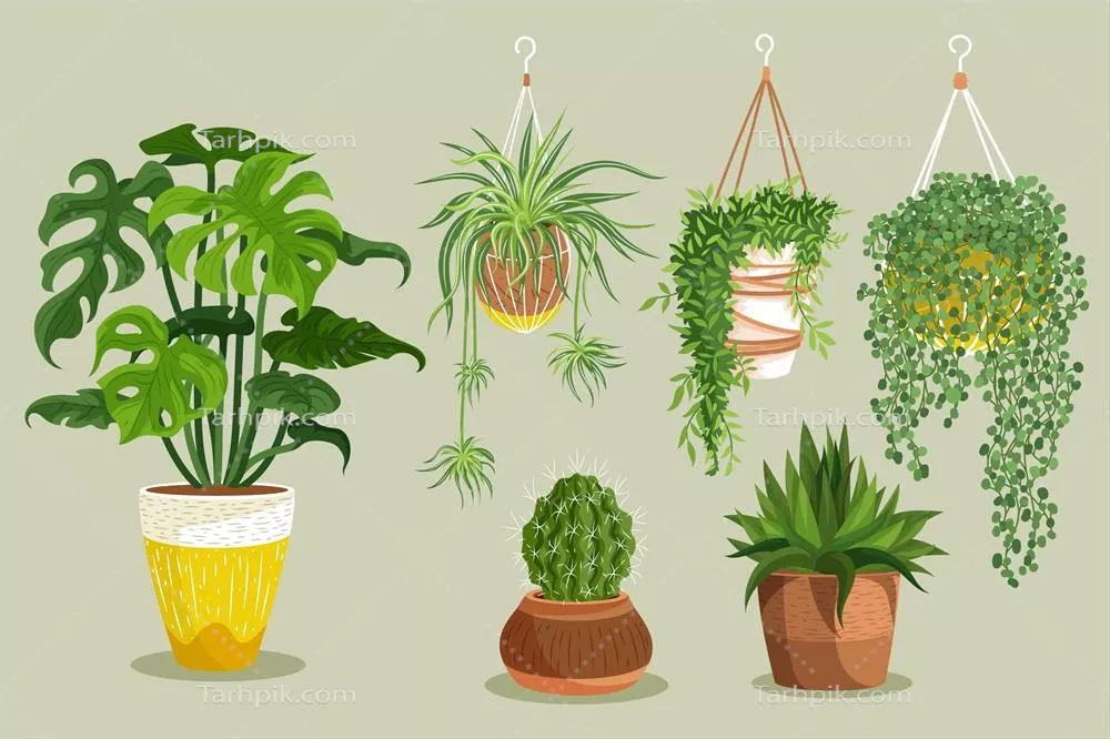 مجموعه گیاهان خانگی دستکشیدهشده - وکتور زیبا و باکیفیت
