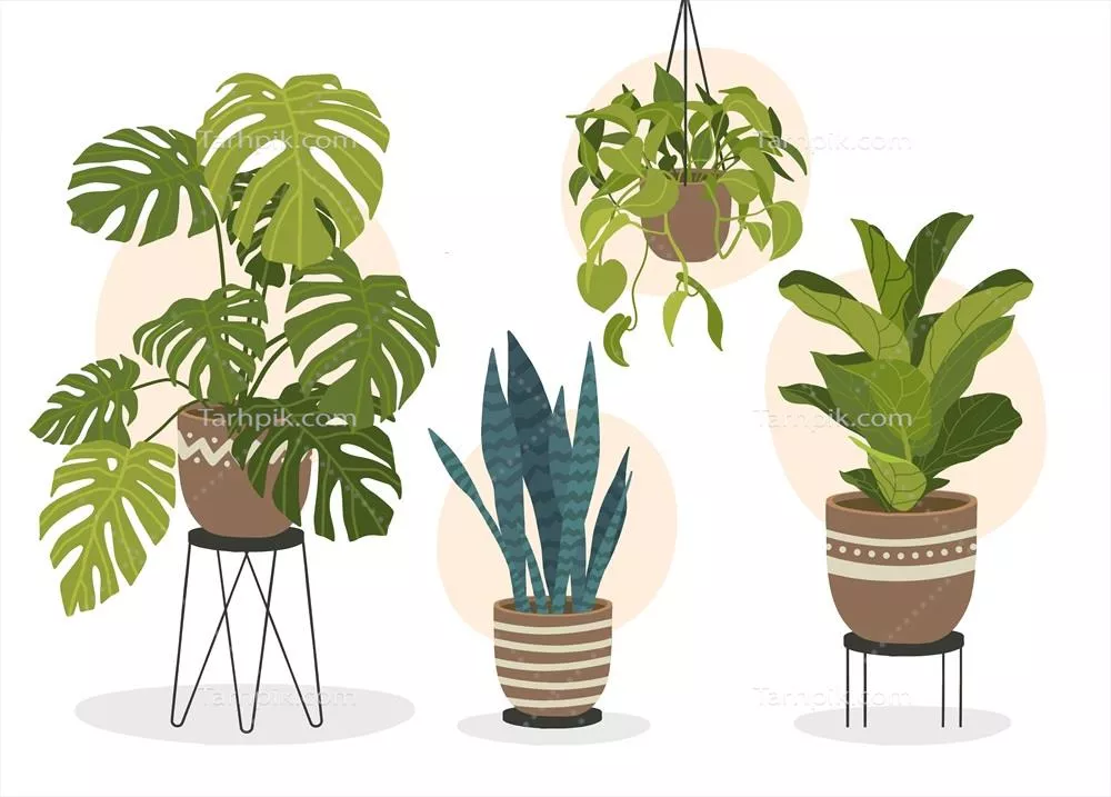 مجموعه وکتور گیاهان خانگی با طراحی دستی و زیبایی منحصر به فرد