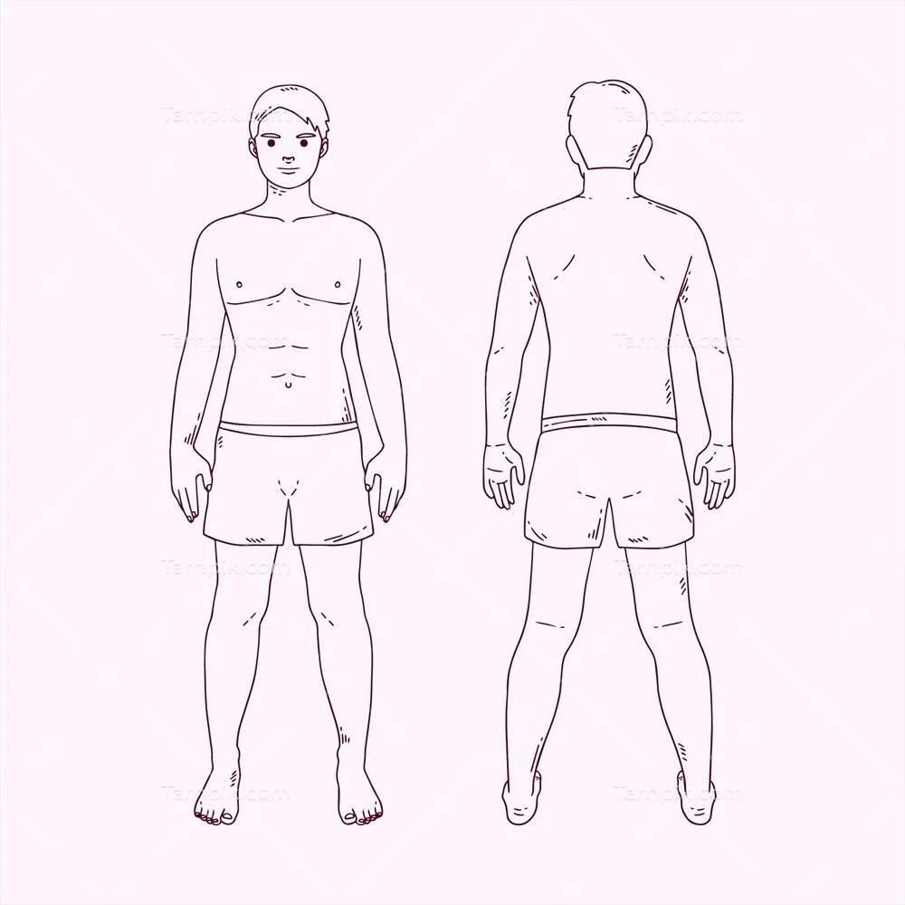 کتابخانه وکتورهای طراحی دستی برای خطوط بدن انسان