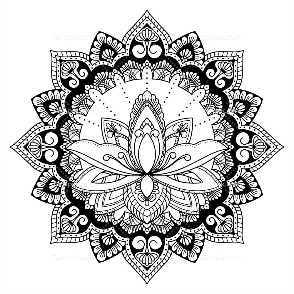 طراحی دستکشیده ماندا لا و گل لوتوس - وکتور های هنری زیبا