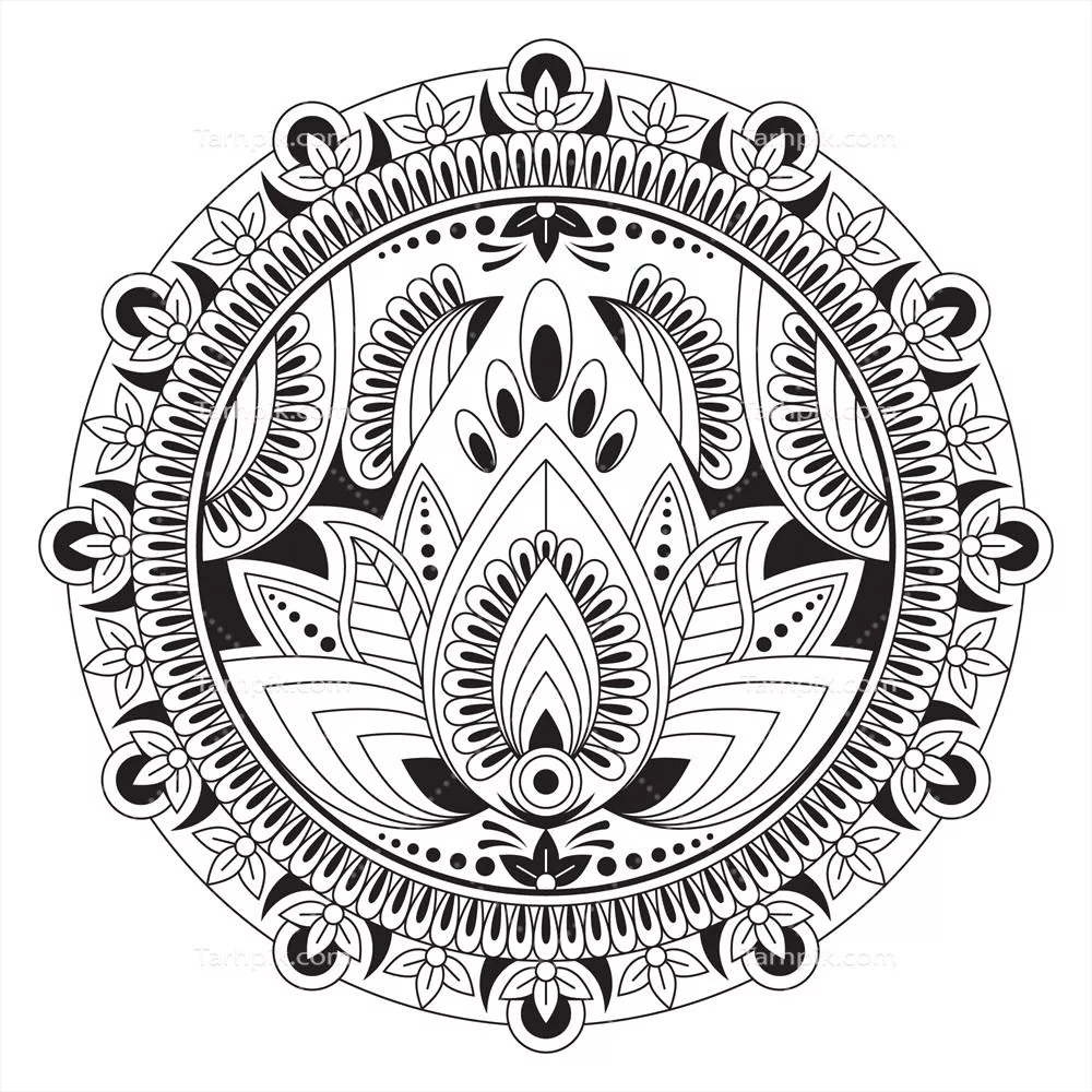 طراحی وکتوری گل لوتوس با مانداهای دستی و زیبا