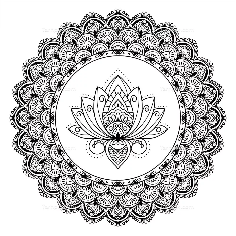 رسم مدالای دستکشیده از گل لوتوس: هنر و خلاقیت در طراحی وکتور