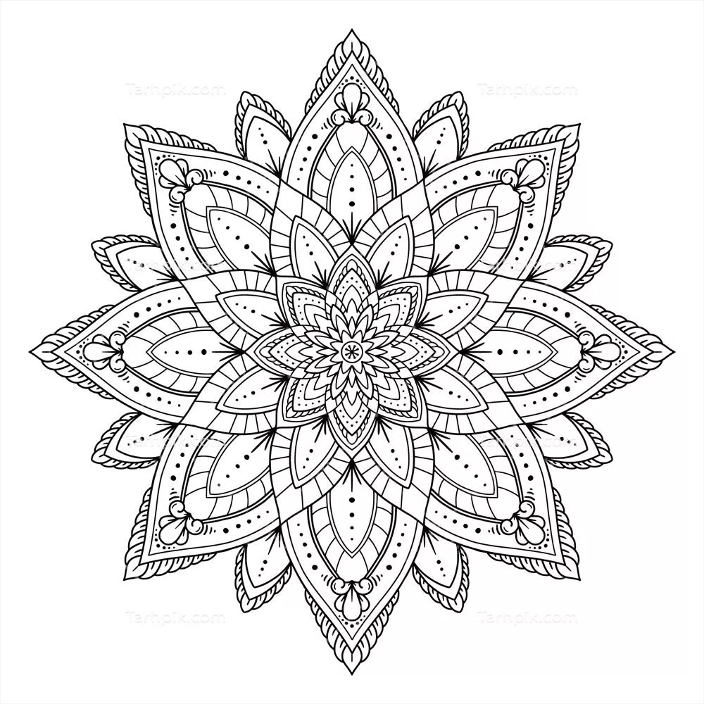 نقاشی وکتور گل لوتوس و ماندالا با طراحی دستی و زیبا