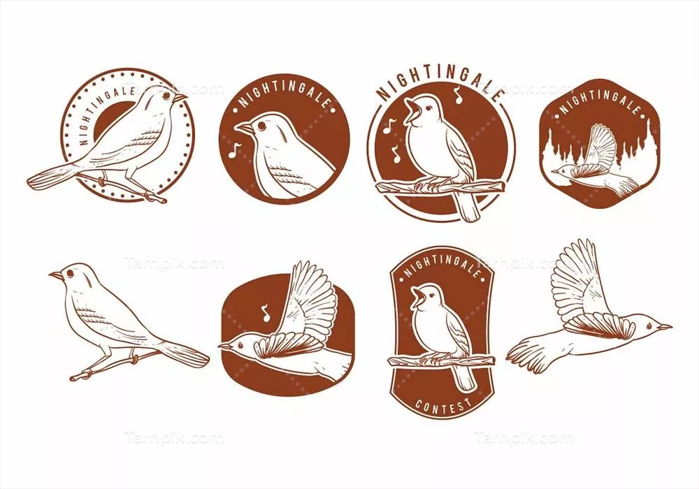 وکتور مجموعه نشان های سیاه‌چاله‌های طراحی شده با دست - نمادهای هنری و خلاقانه