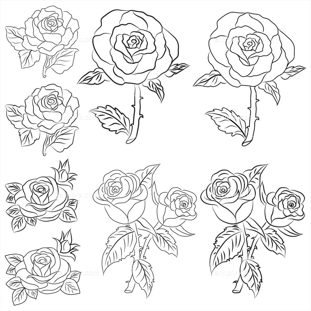 وکتور مجموعه تصاویر خطی گل رز با طراحی دست‌ساز و هنری