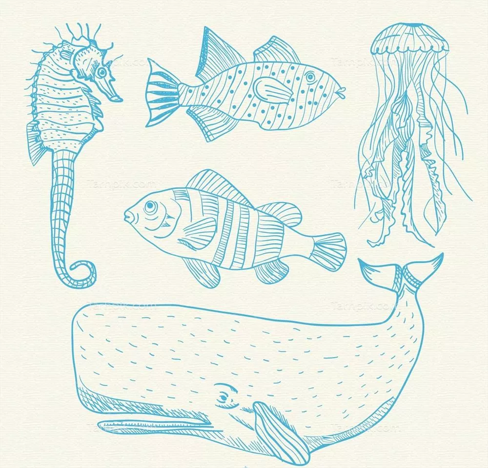 تصاویر وکتوری از حیوانات دریایی به صورت دستکشیده و خلاقانه