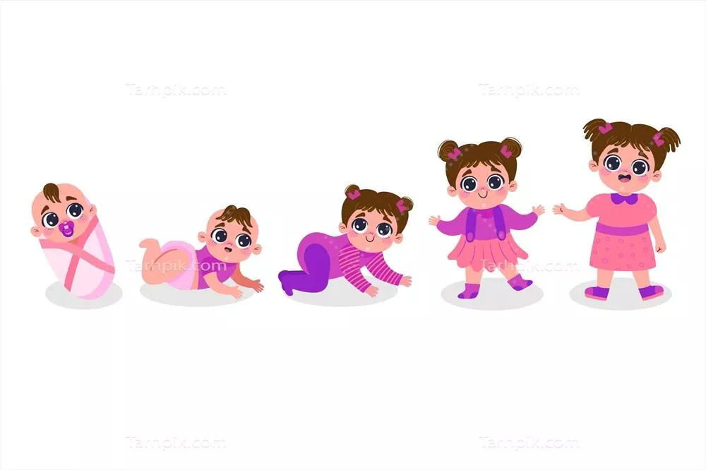 طرحهای دستی و وکتورهای مربوط به مراحل رشد دختر بچه