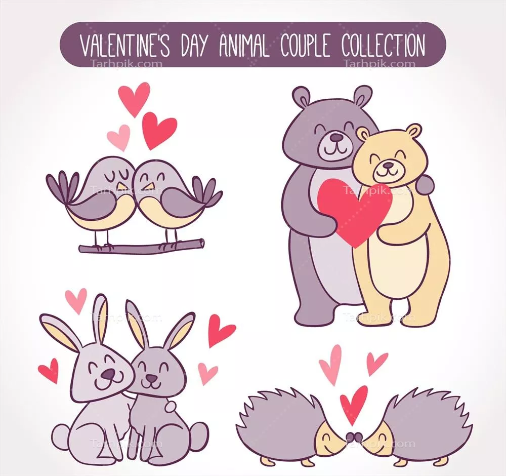 وکتور کلکسیون کارت های ولنتاین با طراحی دستی از زوج های حیوانات