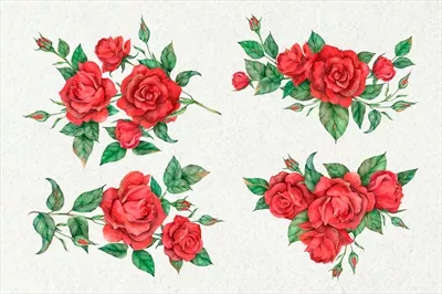 مجموعه گل سرخ وکتور دستی با طراحی منحصر به فرد و جذاب