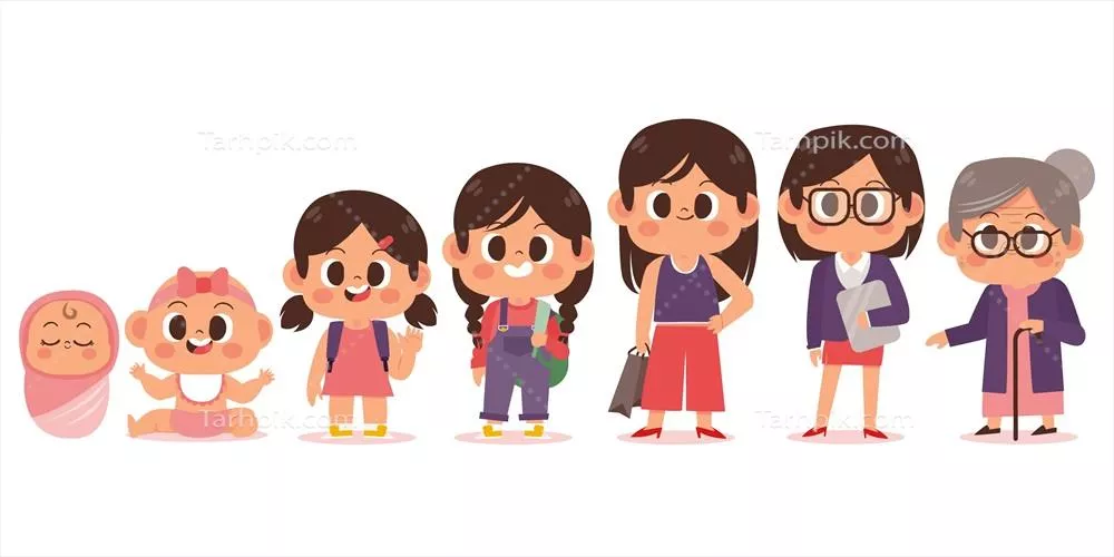 تصویر وکتور از چرخه زندگی زن به صورت دستی ترسیم شده