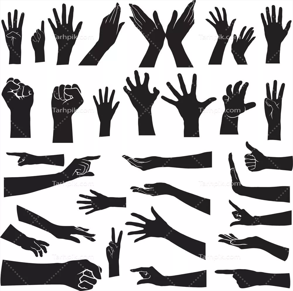 وکتور مجموعه سیلوئت دستها: یک نمایش زیبا از اشکال و حرکات دست