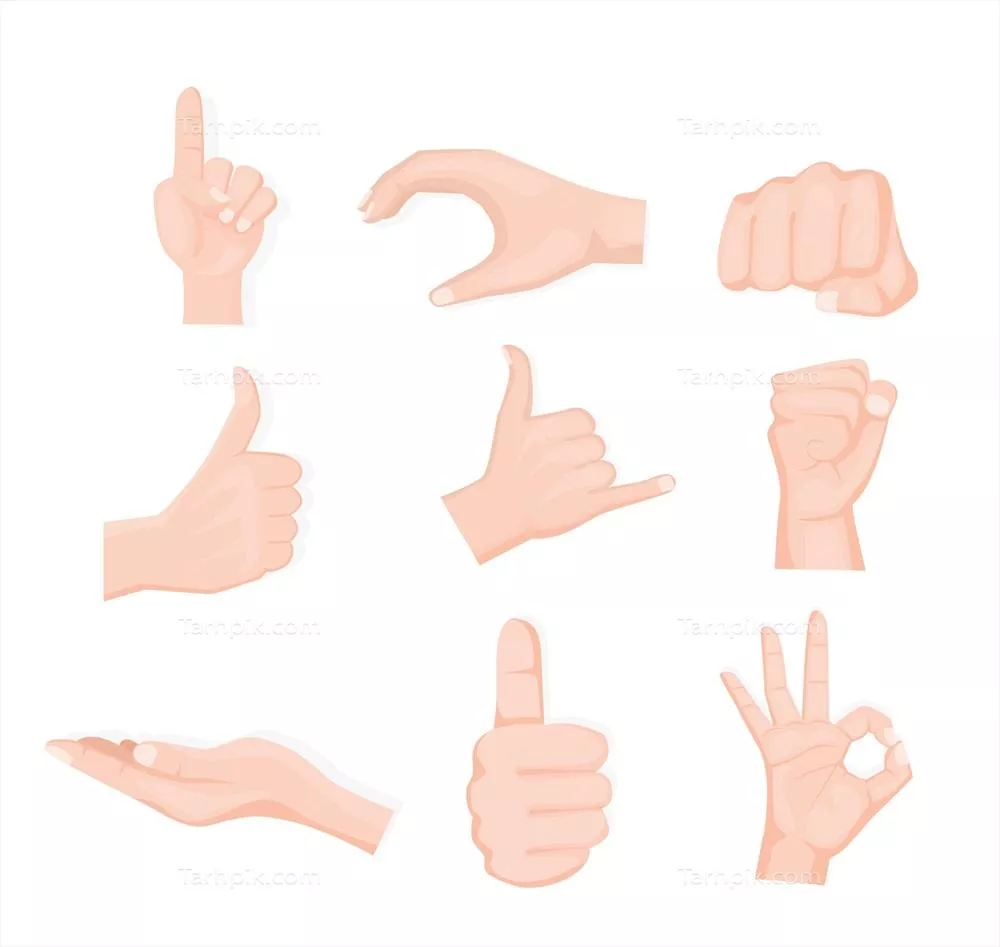 وکتور مجموعه ای از دستان در حالتی مختلف به سبک طراحی دستکشیده شده