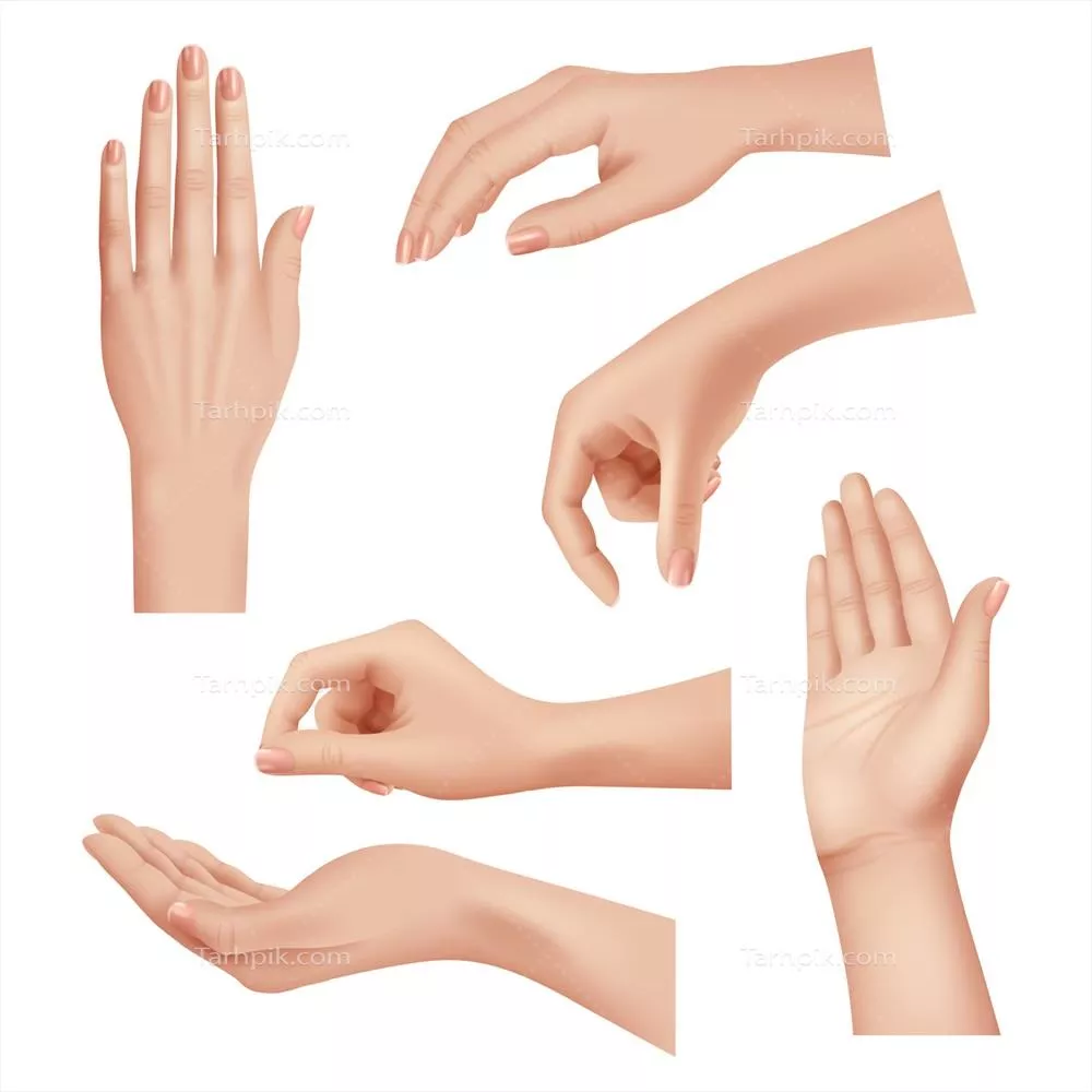 وکتور حرکات دست زنانه به همراه نرمی و زیبایی پوست، ناخنها و انگشتان