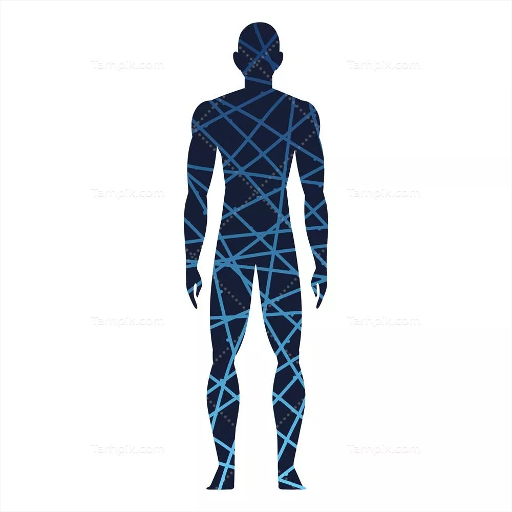 وکتور بدن سالم انسان: اهمیت سلامت و تندرستی در زندگی روزمره