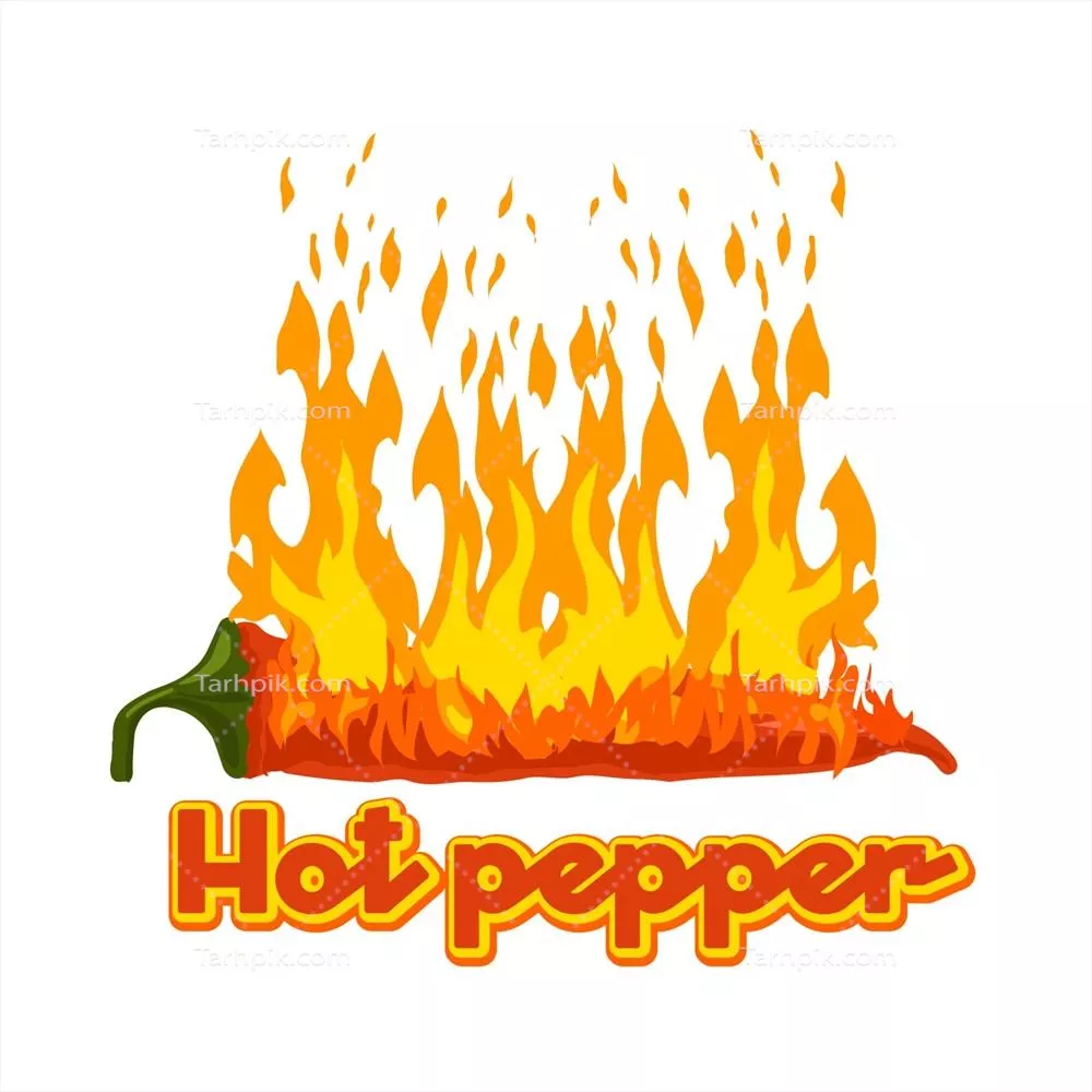 وکتور طرح و لوگوی گرافیکی فلفل تند سوخته با آتش به صورت جداگانه