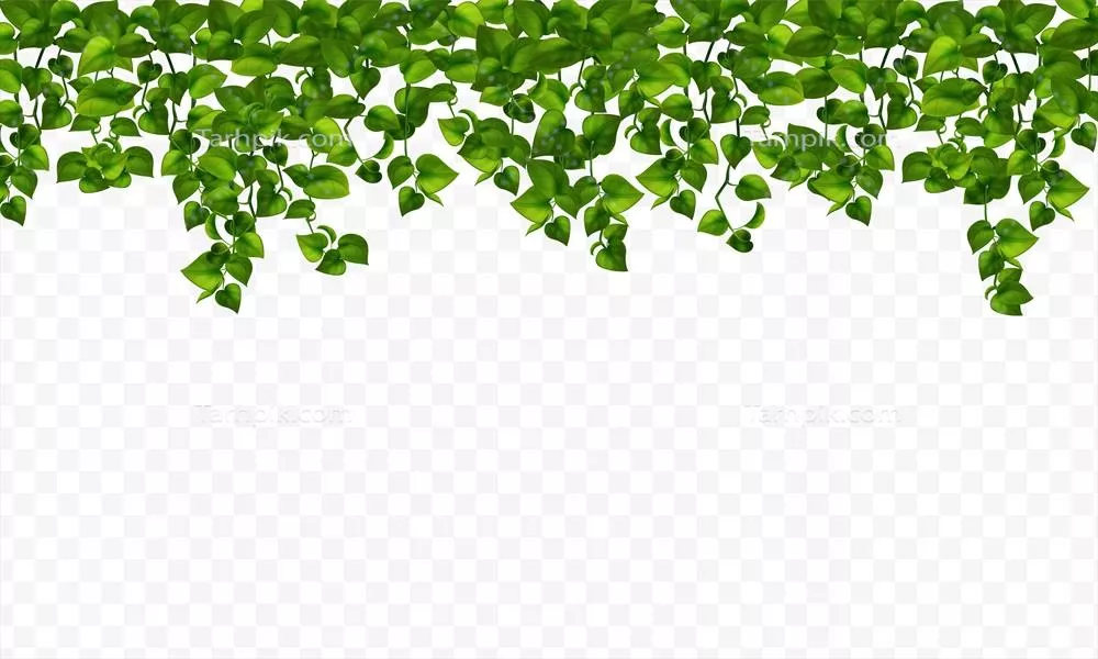 چیدمان خانه با گیاهان واقع‌گرایانه به صورت وکتور و طراحی مدرن