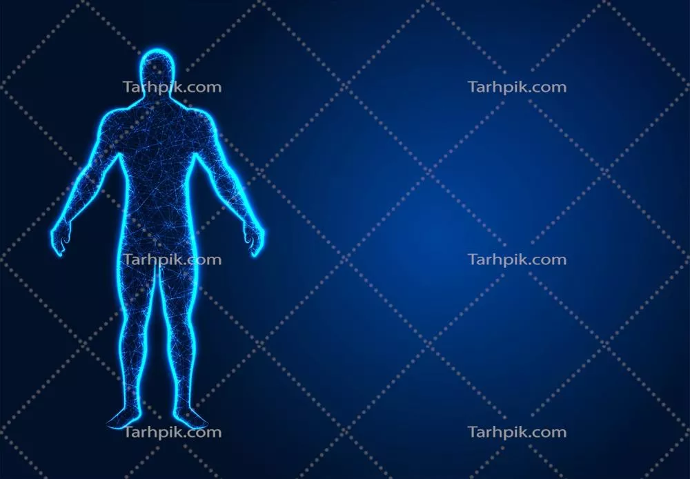 وکتور مدل سهبعدی بدن انسان در واقعیت مجازی با طراحی انتزاعی و الگوی کمپلی