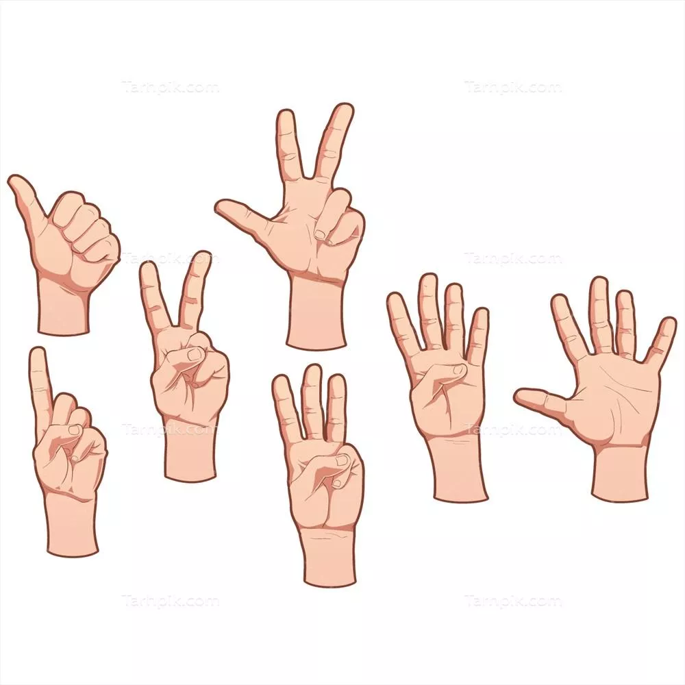 طراحی وکتور دست‌های انسانی: هنر و خلاقیت در طراحی دستی