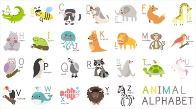 مجموعه طراحی و تصویرسازی وکتور حیوانات وحشی با سبک‌های منحصر به فرد