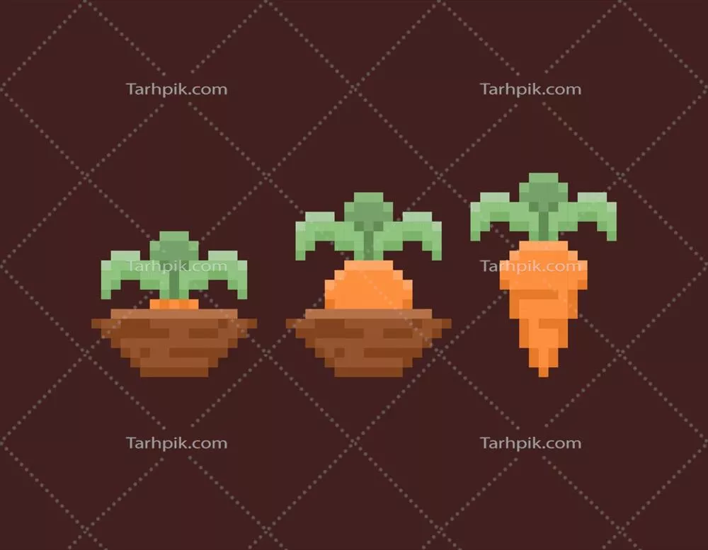 وکتور فرایند رشد گیاه هویج و مراحل مختلف آن به صورت تصویرسازی