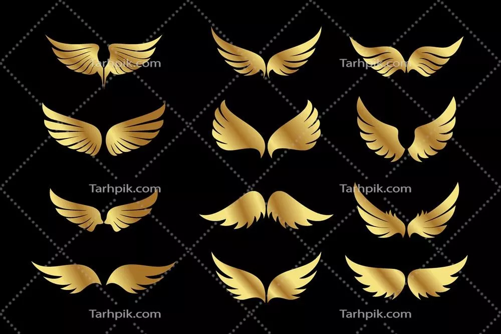 وکتور تصویر زیبای بالهای عقاب طلایی به رنگ سیاه و سایهای هنری
