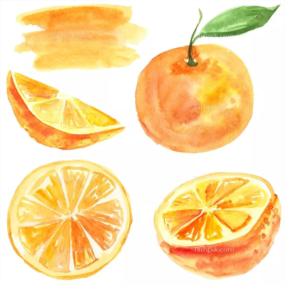 تصویری از وکتور نارنجی: طراحی مینیمالیستی و زیبا