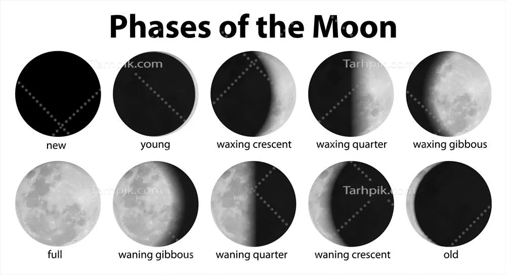 وکتور تصویرگری از مراحل مختلف ماه و تحولات آن در آسمان