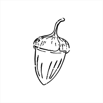 تصویر وکتور از انواع گیاهان با طراحی خلاقانه و زیبا